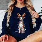 Weihnachten Hund Rentier Geweih Lichter Damen Sweatshirt Damen Urlaub Pullover