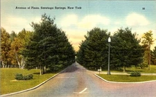 1930s Saratoga Springs NY Avenue of Pines Linen Postcard Tichnor Bros Unused
