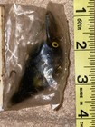 SUPER TUFF FIND UNKNOWN BAGLEY TYPE LURE! FROG COLOR LURE!! — photo 6