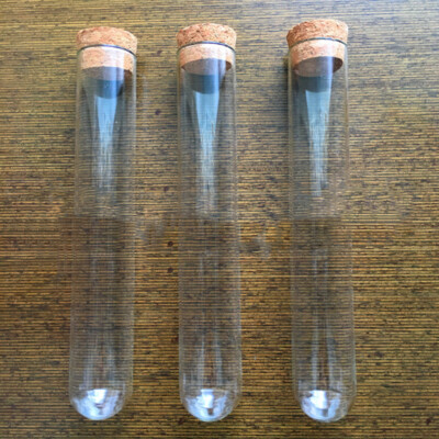 12St Reagenzgläser hart tragbar versiegelt Behälter mit Clips Holzdübel