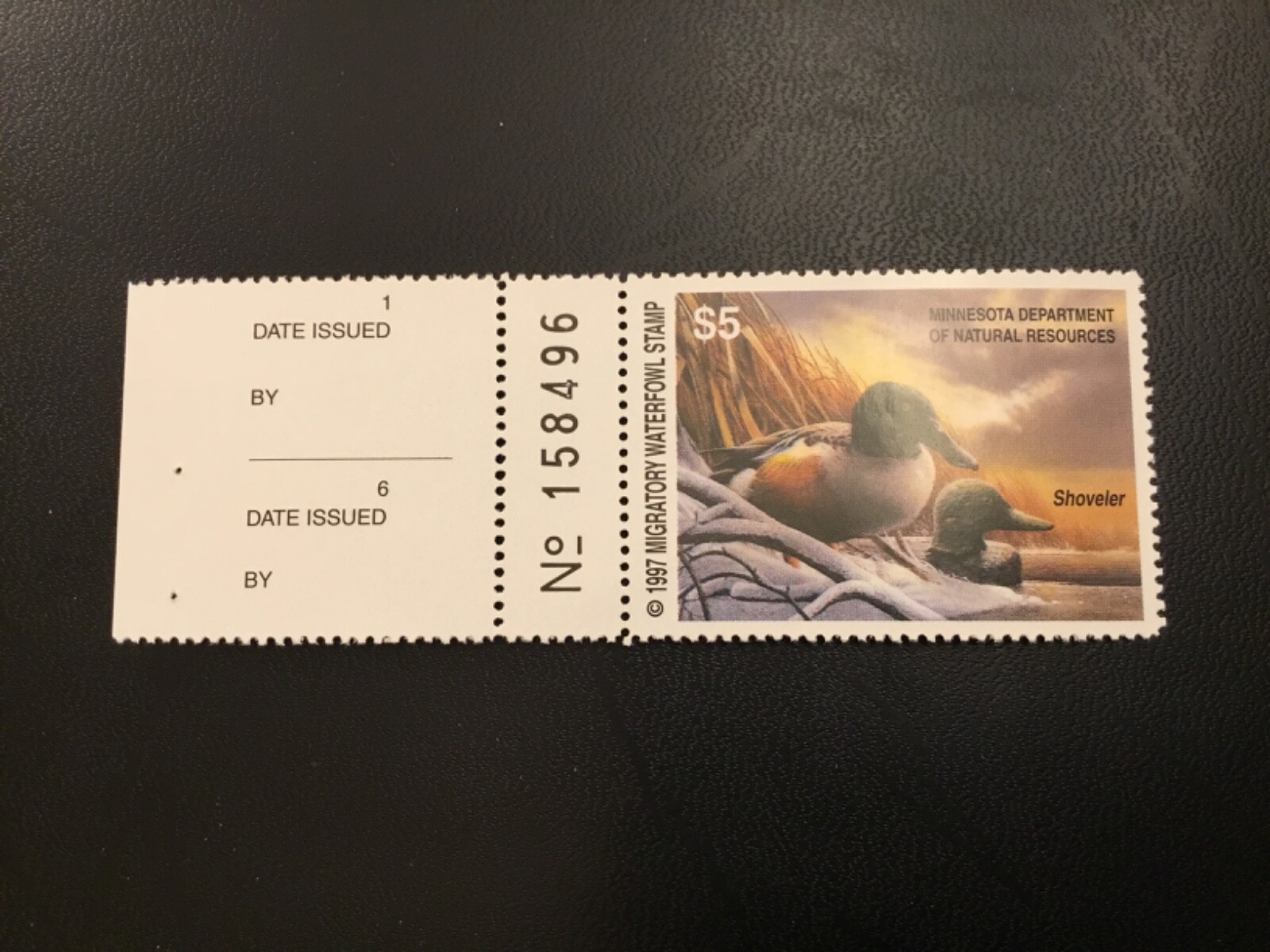 Picture 1