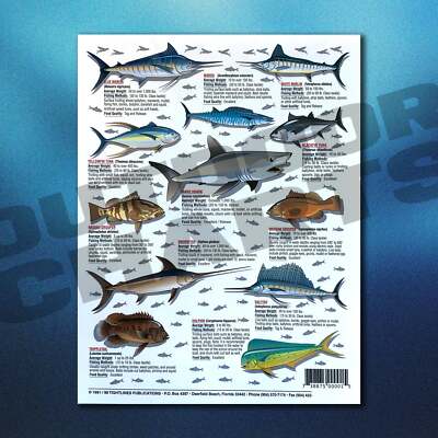 How to Catch 'Em Saltwater Fish Identification #1 - Waterproof