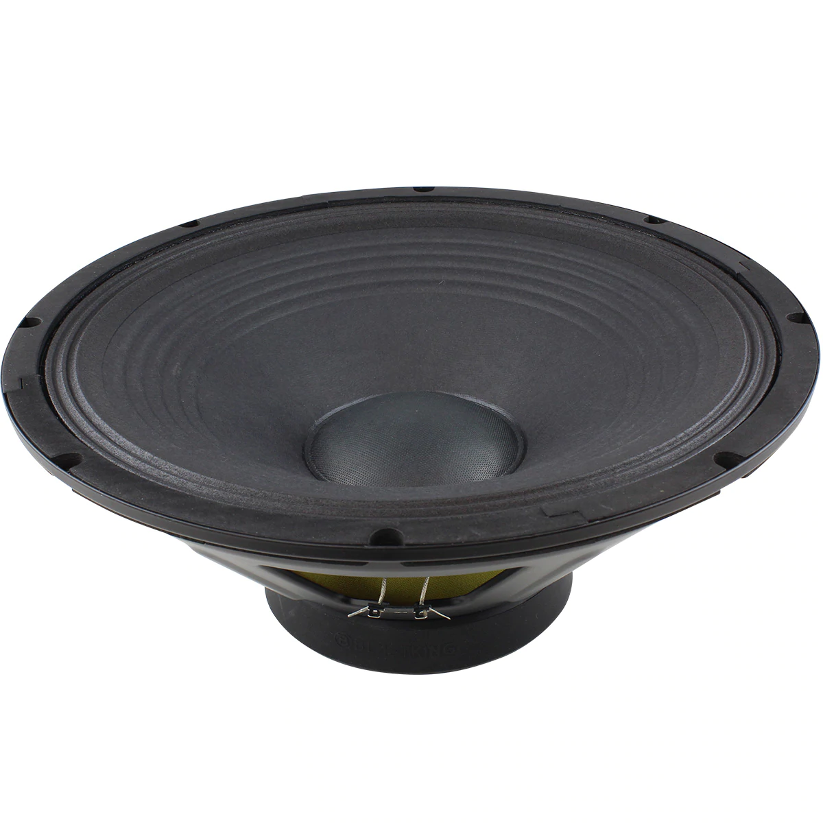 Blastking BLAST415 15 inch 850 Watts Midrange Loudspeaker | eBay
