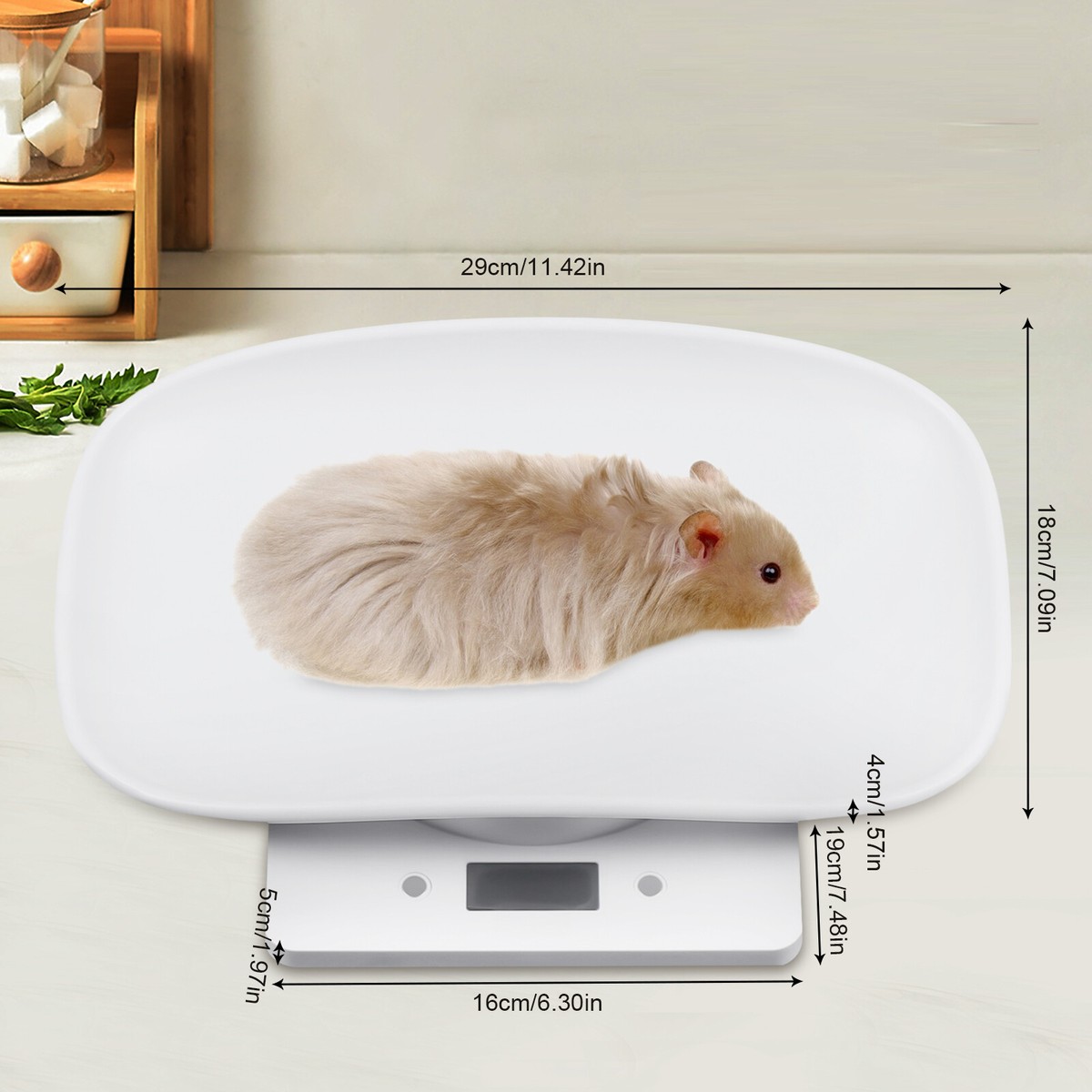 Frost Free Hydrant Merrill Mfg MBNL50 No Lead Brass 1