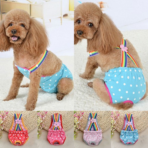 Salopette / Pantalon Pour Chien Angeldog - Bleu, XS Court - 100% Coton Stretch - Neuf
