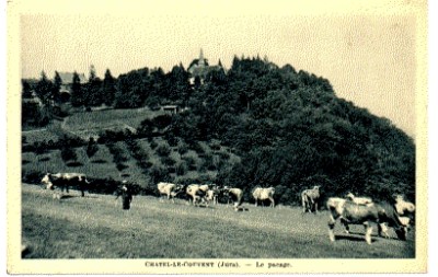 (S-84267) FRANCE - 39 - CHATEL LE CONVENT CPA