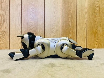 Sony AIBO ERS 210 (2nd Gen.) Robot - Silver for sale online | eBay