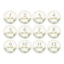 12 PCS Baby Monthly Milestone Cards Paper Photo Prop 112 Months Marker Discs