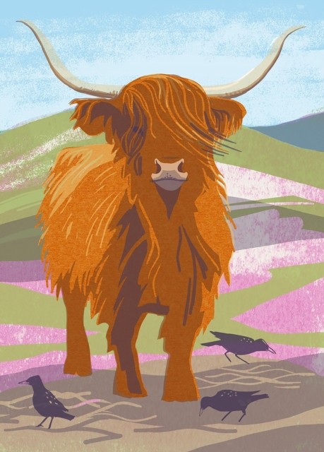 Nature Notebook: Highland Cow (Notebook / blank book)