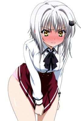 Koneko Highschool DxD Waifu Weatherproof Anime Sticker 6'' Car Decal