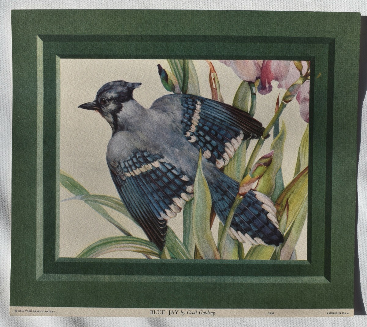 セシル・ゴールディング（Cecil Golding）プリントアート 2点セット CECIL GOLDING BIRD PRINTS NEW YORK GRAPHIC SOCIETY, 1940