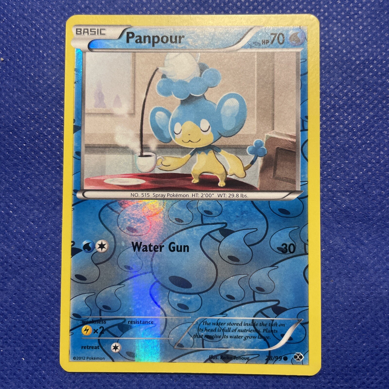 PANPOUR 28/99 Pokémon Reverse Holo Black & White Next Destinies - NM