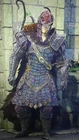 Dragon's Dogma 2 - Complete  Archer Set 8 Items - Only PS5