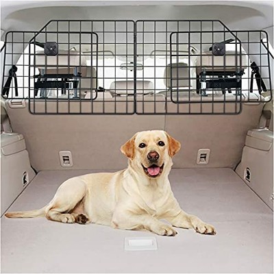 dog gate area