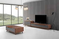 Design Wohnwand Sideboard Kommode Couchtisch Holz Wand Schrank Wohnzimmer Modern