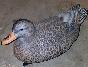 American Black Duck Floating Decoy - Realistic Brown Gray Black Orange Plastic