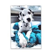 Dalmatians Dogs photo calendar 2026/27 personalised Choose Start