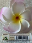 Bild 849 von 1.233