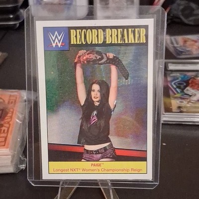 WWE Record Breaker Paige #18 Longest NXT Women's Championship Reign