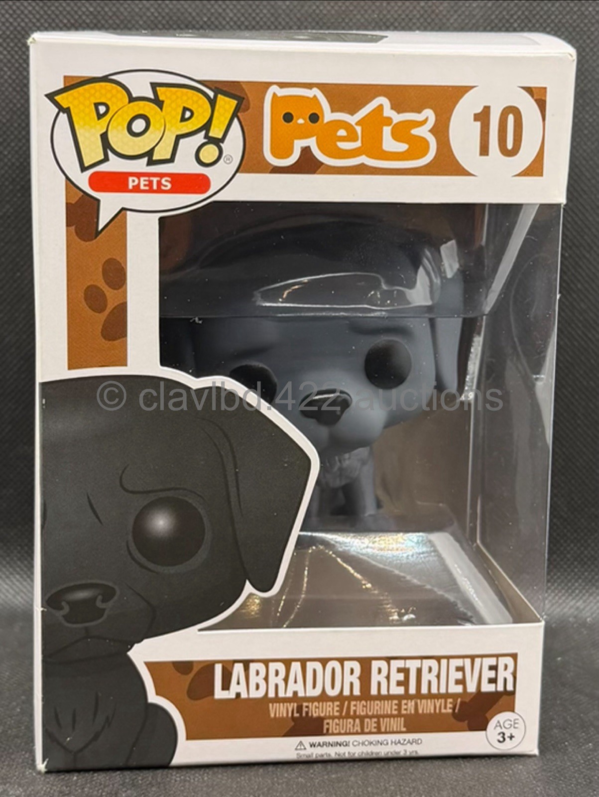 Dog Puppy