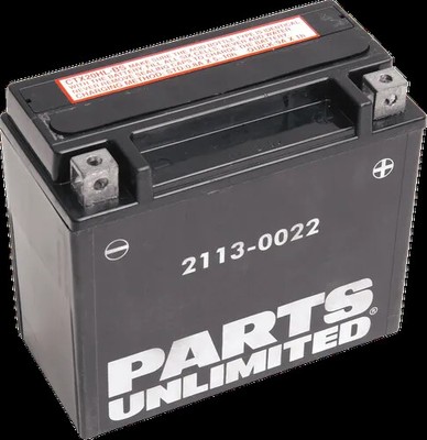 PU AGM Maintenance Free Battery YTX20HL-BS Big Dog Vintage 95-01