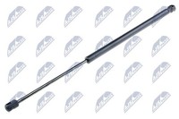 Nty Gasfeder, Koffer-/Laderaum AE-FR-011 FüR Ford