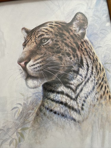 2 Vintage RUANE MANNING Lion Tiger Prints Bamboo Framed Mother Tiger Cub 10 x 8” - Picture 3 of 12