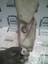 Imagen 3 de 3
