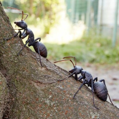 Kaiyodo Black Giant Ants (Set of 2) Painted PVC & ABS action figure
