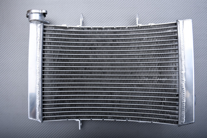 Radiateur eau Racing Triumph 675 évite la surchauffe moteur sur circuit
