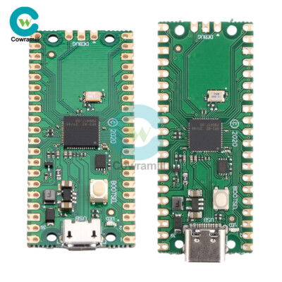 Raspberry Pi RP2040 Pico Dual-Core Development Board Module Micro USB/Type-C