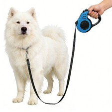 Automatic Retractable Dog Leash Retractable Leash Pet Tape With Handle
