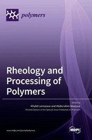 Khalid Lamnawar | Rheology And Processing Of Polymers | Buch | Englisch (2022)