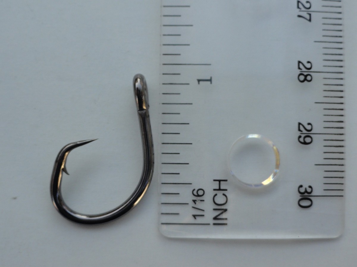 24 -120 pcs Circle Hooks Size 1 Black Nickel 2X Strong Finish Fishing Hooks | eBay 24 -120 pcs Circle Hooks Size 1 Black Nickel 2X Strong Finish Fishing Hooks | eBay