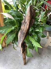 Fish Tank/ Reptile Wooden Decoration Raw Wood Aquatic /reptile Use