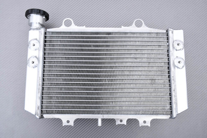 Radiateur Racing aluminium à haute dissipation thermique pour refroidissement BMW G310R