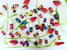 Young Living Essential Oils   5ml  15ml   NEW  Sealed   FREE Shipping