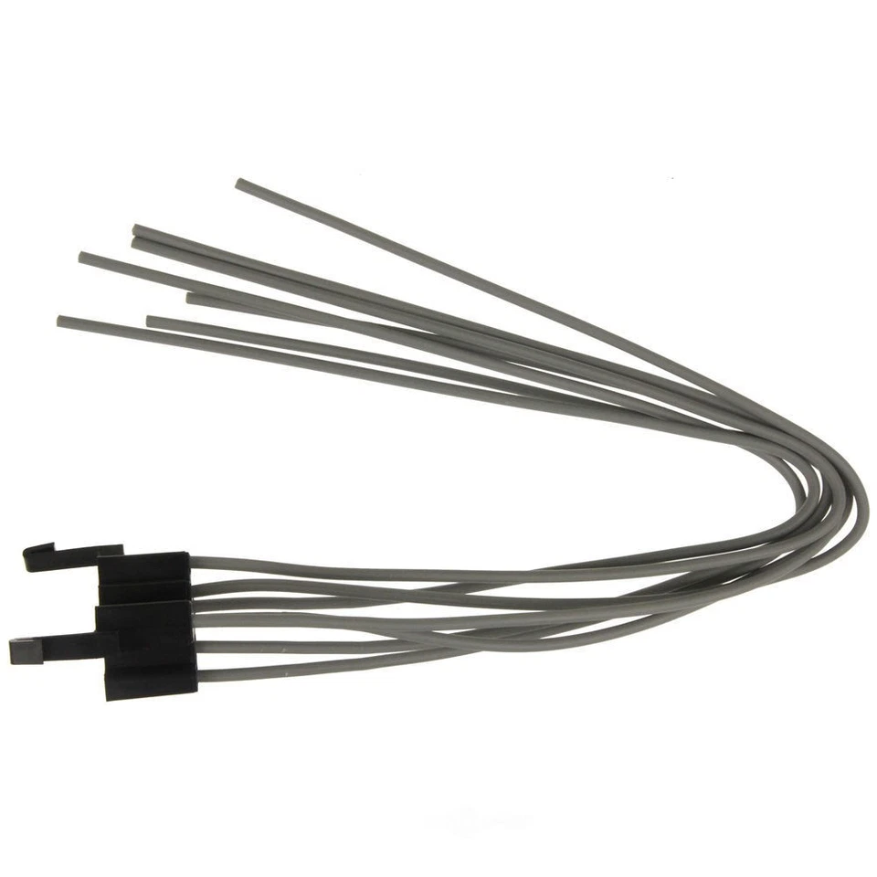 Conector interruptor de ignição WVE 1P1981 - Imagem 2 de 4