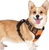Hundegeschirr FüR Kleine Hunde, Verstellbar, Anti-Zug, Orange S