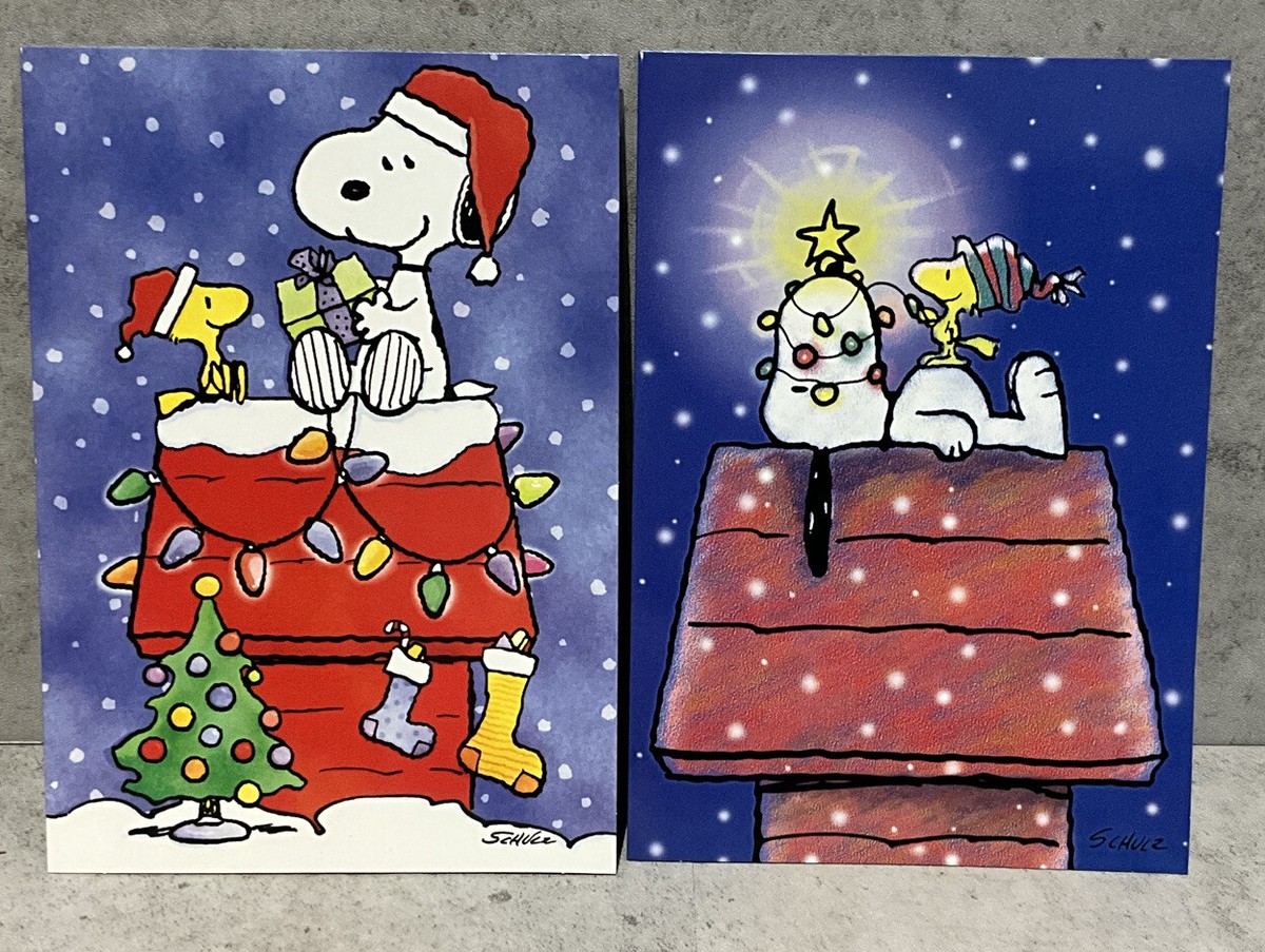 アメコミ PEANUTS Christmas Amazon.com: Pea Nuts! Cartoon Holiday Winter Tales Charlie