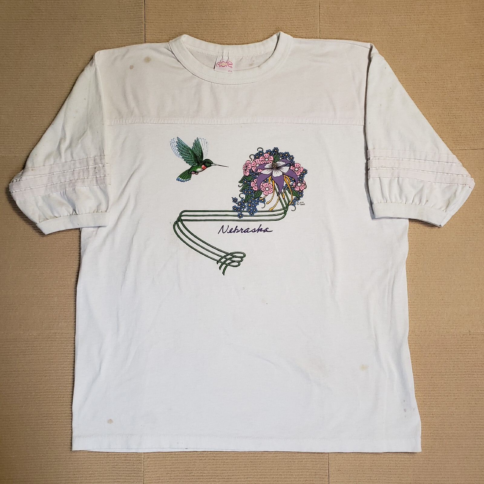 Vintage 80s Alore Nebraska Hummingbird Graphic Tee Mens XL Distressed Single Stitch Grunge Style