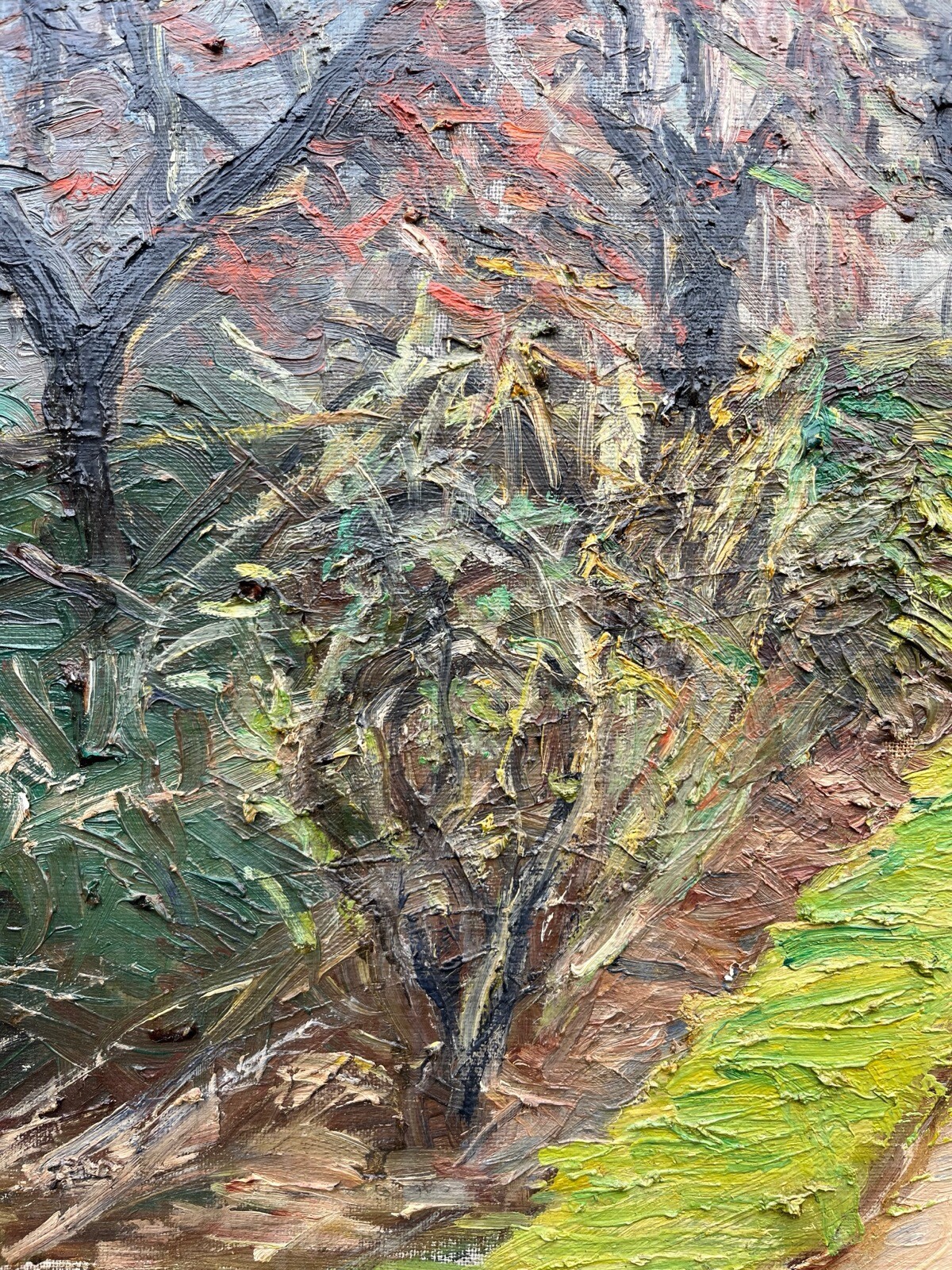 Picture 7 of 15