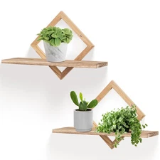 Floating Shelves for Wall,Decorative Wall Shelf,Hanging Shelf for Plants Stor...