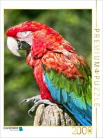 Calvendo Puzzle Colorful Parrots: Green-Winged Macaw. | 2000 Pieces, Finished Si
