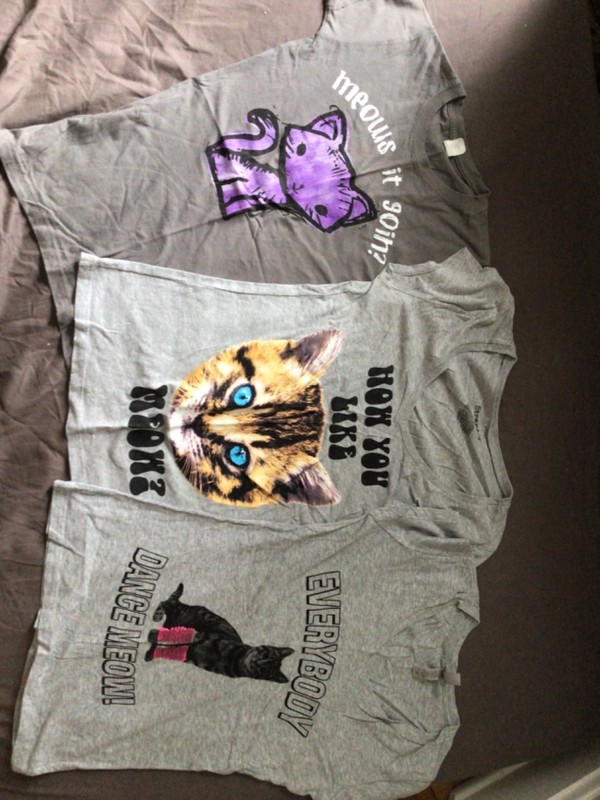Lot of juniors Cat tshirts - small. Meows it goin, everybody dance meow,