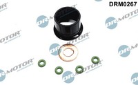 Dr.Motor Automotive DRM0267 Dichtungssatz EinspritzdüSe FüR Fiat