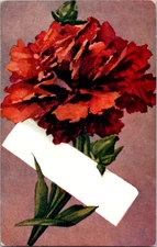 Vintage Postcard Red Carnation Flower Blank Banner Greeting Art