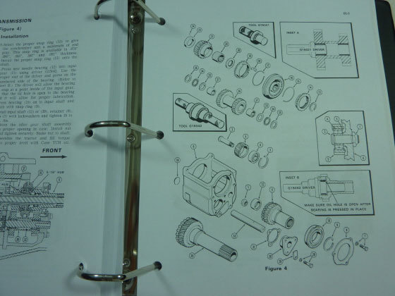 Picture 3