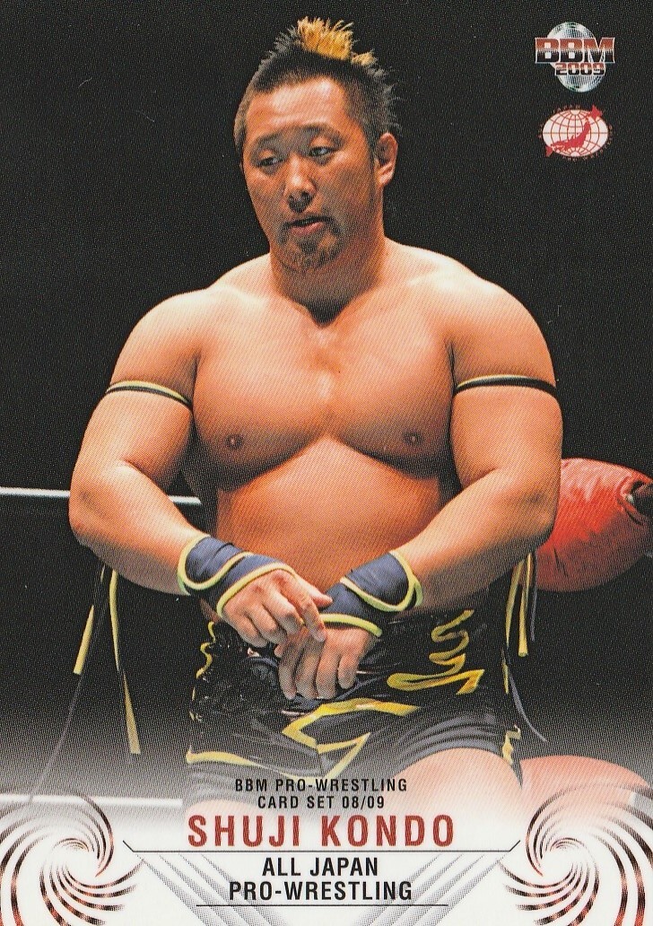 ECWプロレスカード ピットブルズ　BBM ECWプロレスカード ピットブルズ BBM 1995 BBM Pro Wrestling