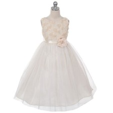 CHAMPAGNE Size 2 Flower Toddler Girl Dress Birthday Party Wedding Formal Recital